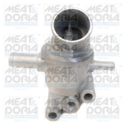 Thermostat, coolant